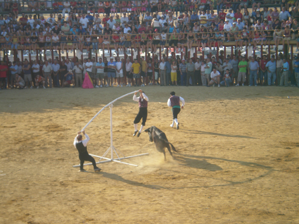 Columpio vaca Talarrubias, haga clic en la imagen para ampliar la foto