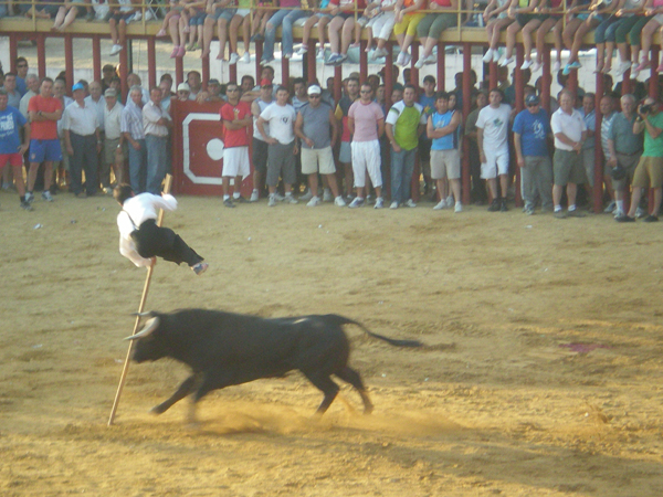 Recortador Talarrubias, haga clic en la imagen para ampliar la foto