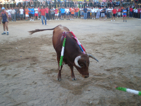 Esparragosa de Lares 7, haga clic en la imagen para ampliar la foto