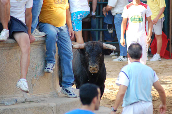 Escondido tras la fuente. Primer premio