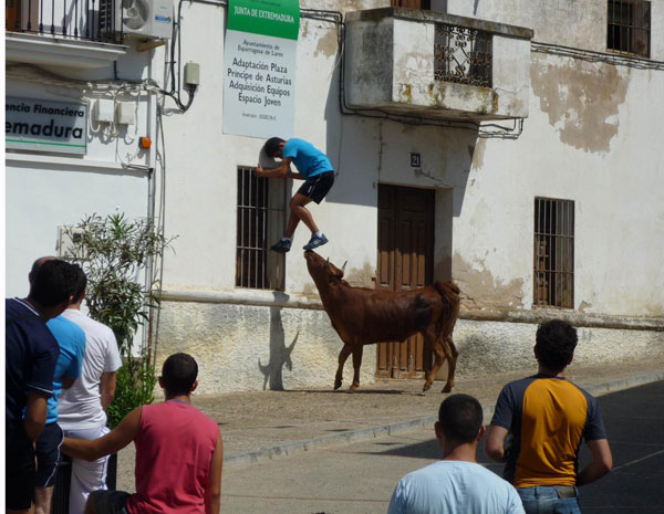 La mirada del aficionado. Segundo premio