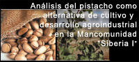 Análisis del pistacho como alternativa de cultivo y desarrollo agroindustrial en la Mancomunidad Siberia I, haga clic para acceder a la información
