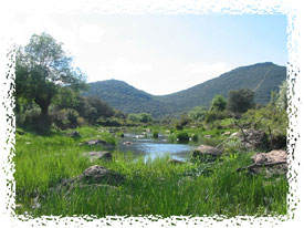 Paisaje de Baterno