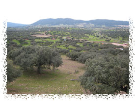 Paisaje de Baterno