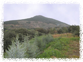 Paisaje de Baterno