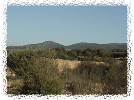 Paisaje de Casas de Don Pedro