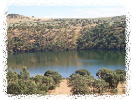 Embalse de Orellana