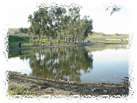 Embalse de Orellana