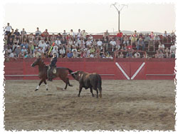 Fiestas Patronales, festejos taurinos