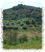 Paisaje de Garbayuela