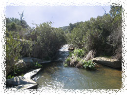 Arroyo de la Rivera