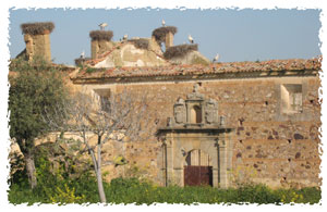Convento de la Visitacin