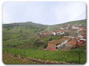 Foto del municipio de El Risco