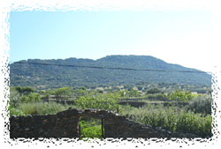 Vista de la Sierra de Siruela