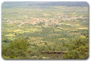 Foto area de Siruela