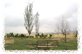 Paraje "La Charca"